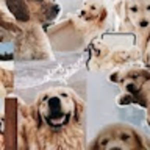 Meet your Posher, Ainsley